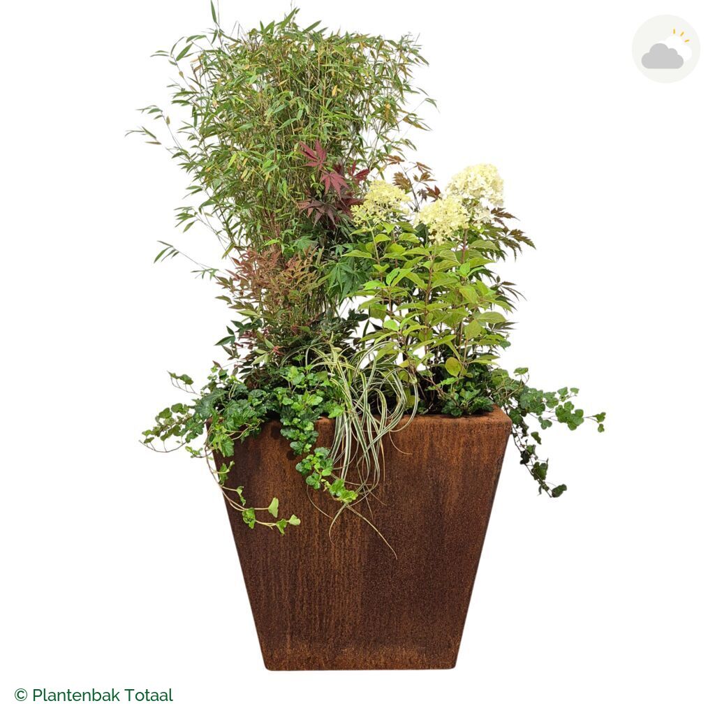 productfoto van plantenbak Cortenstaal Tap Set Himalaya