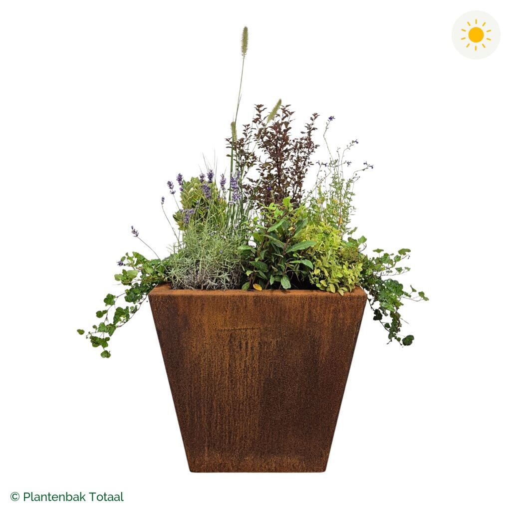 productfoto van plantenbak Cortenstaal Tap Set Provence