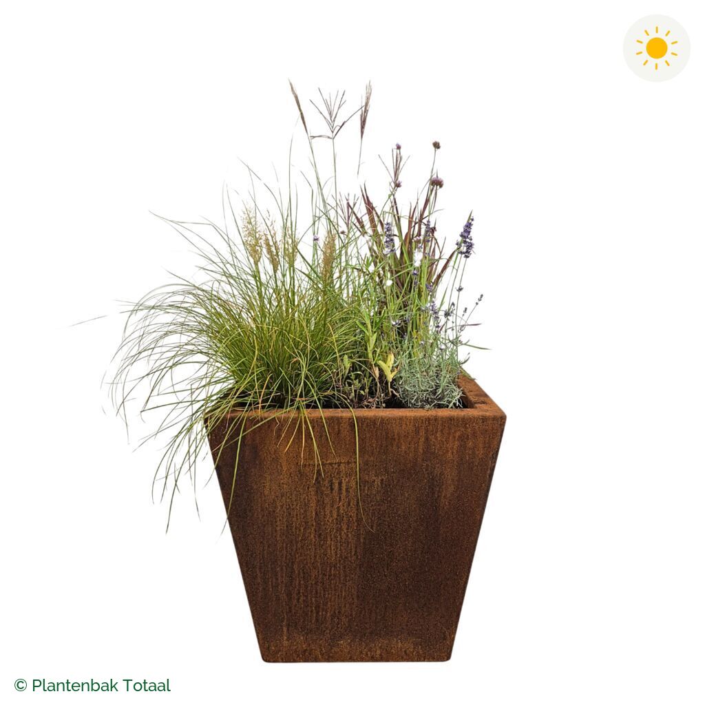 productfoto van plantenbak Cortenstaal Tap Set Savanne