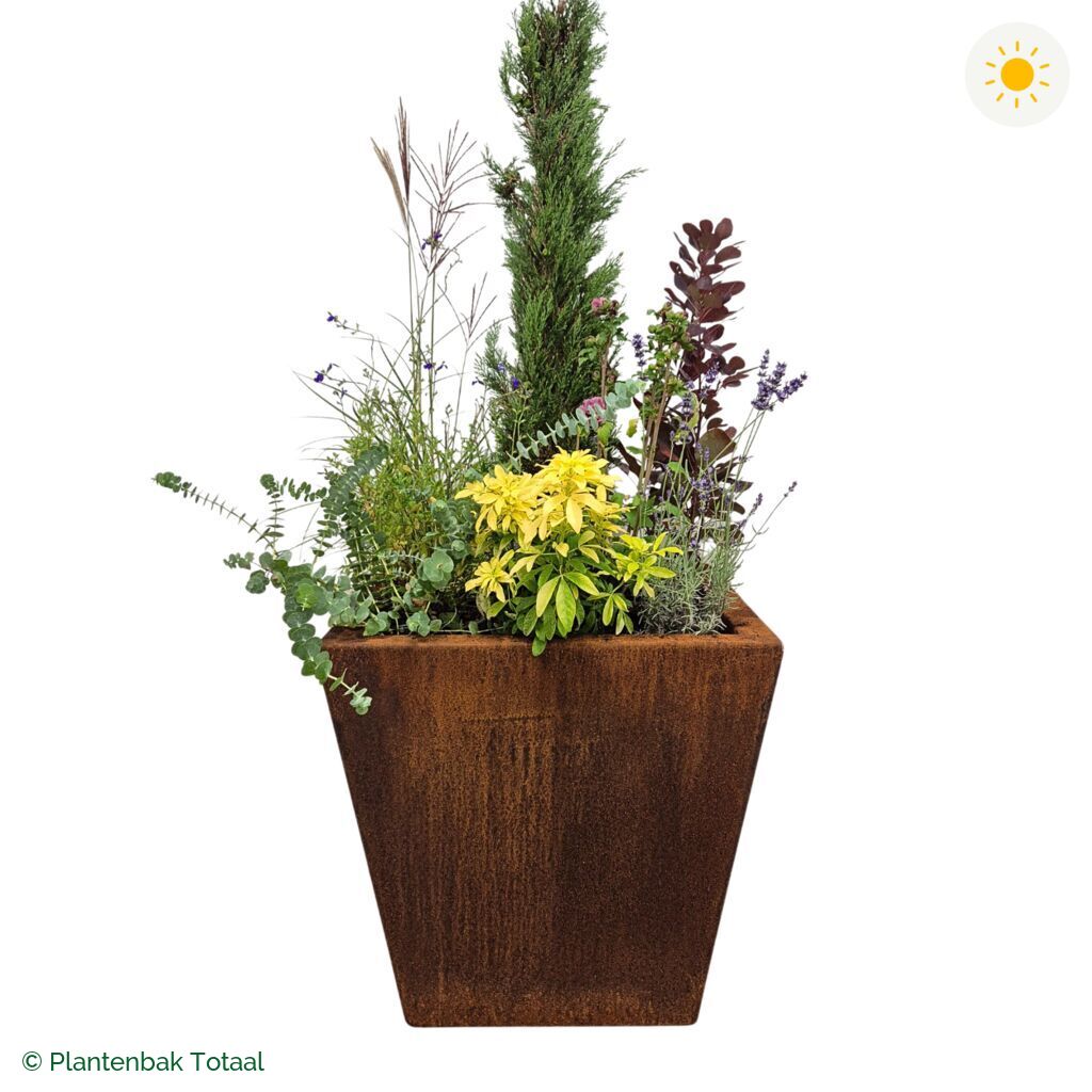 productfoto van plantenbak Cortenstaal Tap Set Toscane