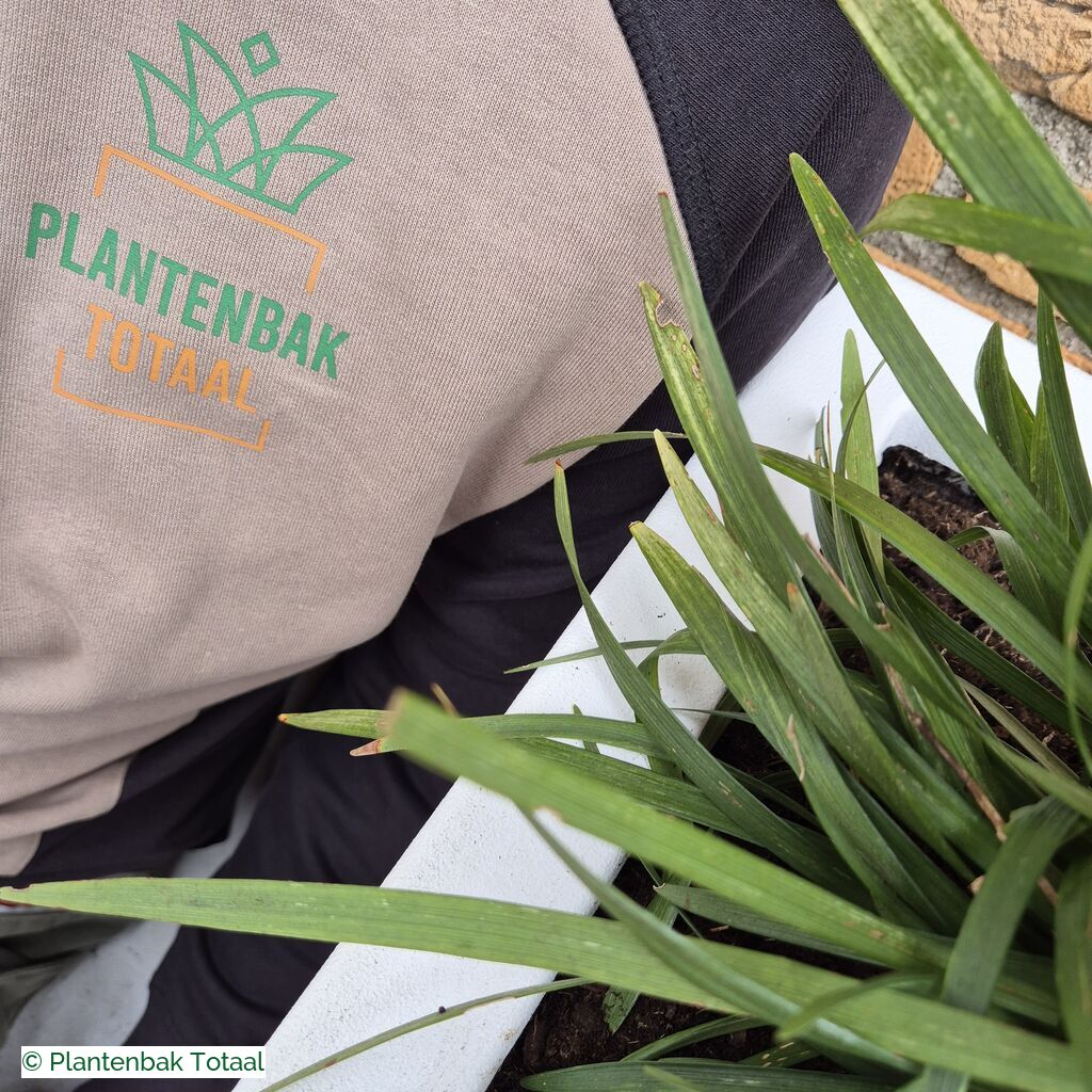 productlijn foto van plantenbak PO Carrez langwerpig