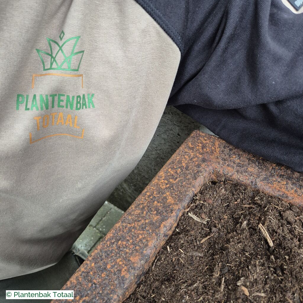 productlijn foto van plantenbak CS Carrez rechthoek