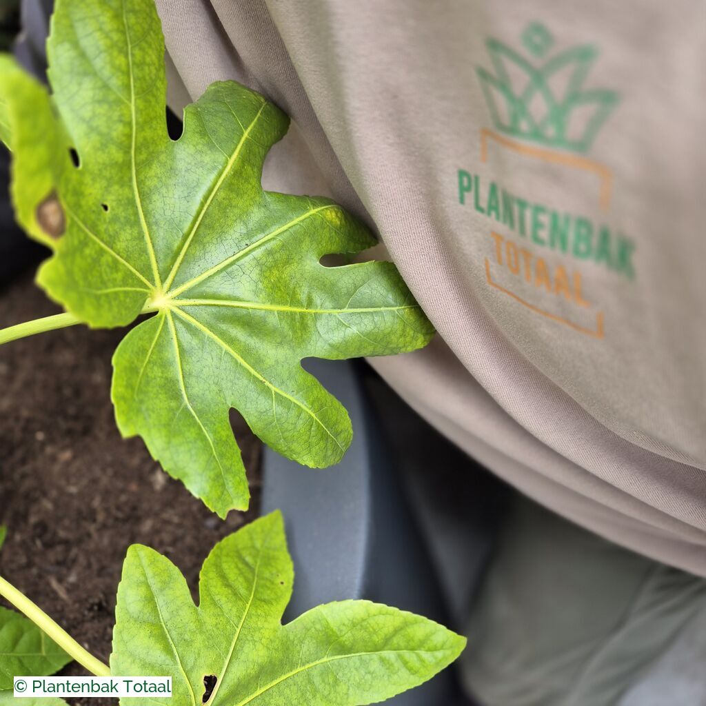 productlijn foto van plantenbak PO Circum rond