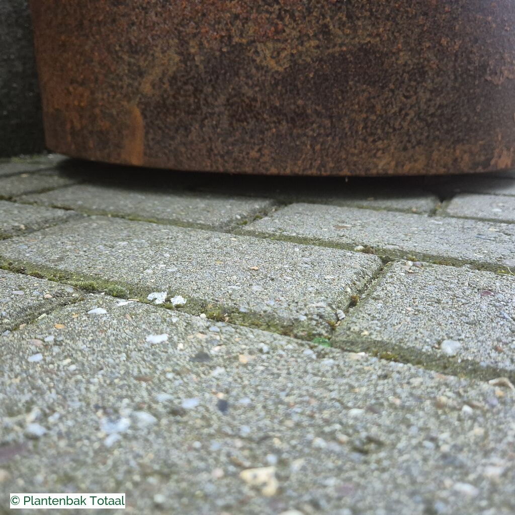 productlijn foto van plantenbak CS Circum rond