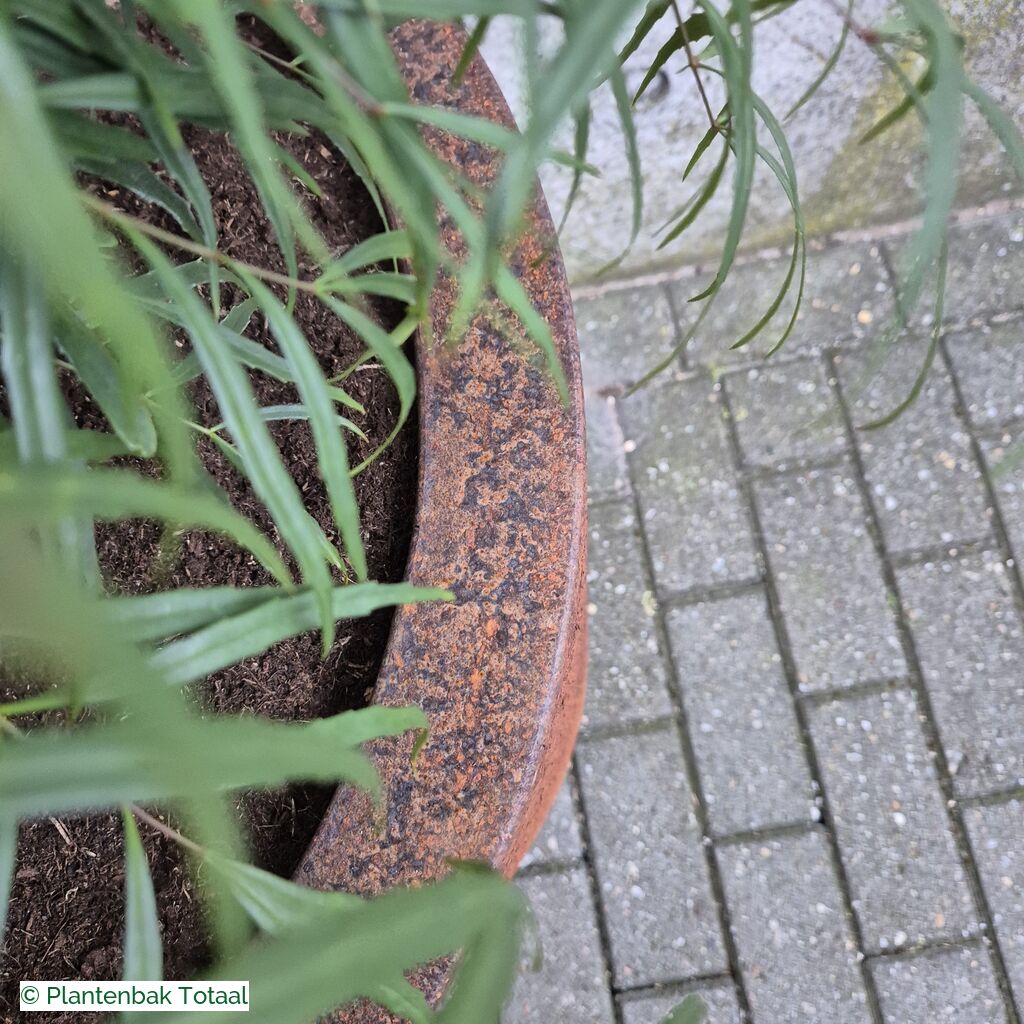 productlijn foto van plantenbak CS Circum rond