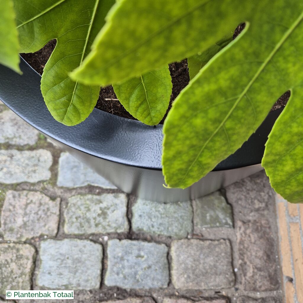 productlijn foto van plantenbak AL Circum rond