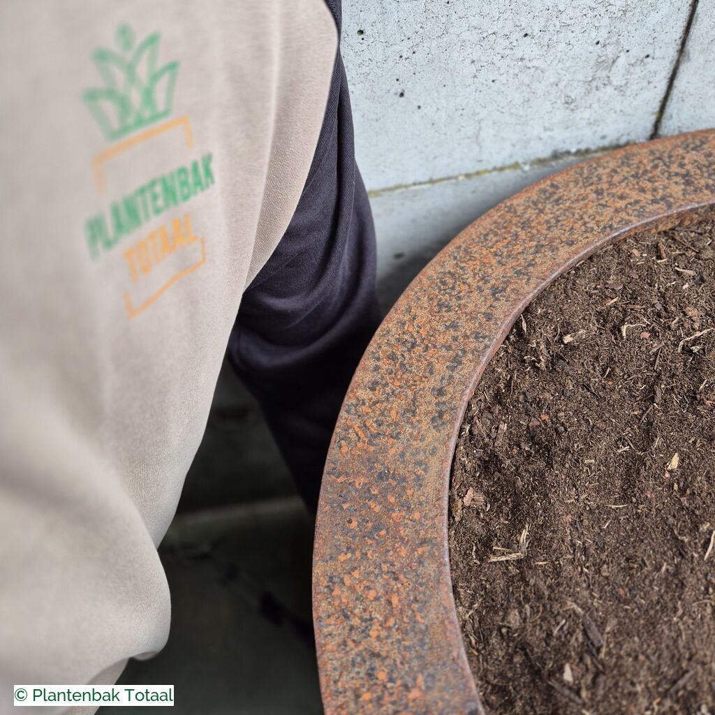 productlijn foto van plantenbak CS Conic rond