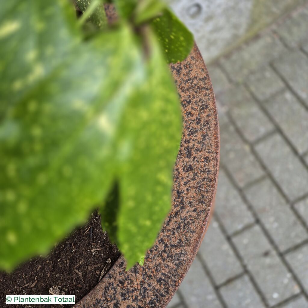 productlijn foto van plantenbak CS Conic rond