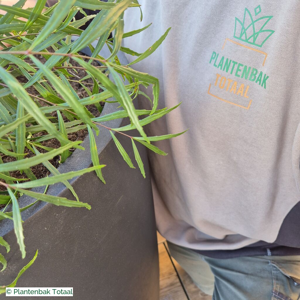 productlijn foto van plantenbak FF Dax rond