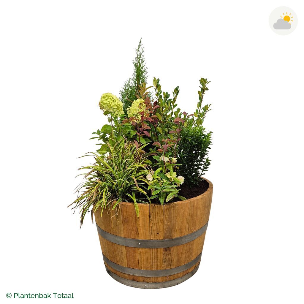 productfoto van plantenbak Eikenhout Half Wijnvat Set Ardennen
