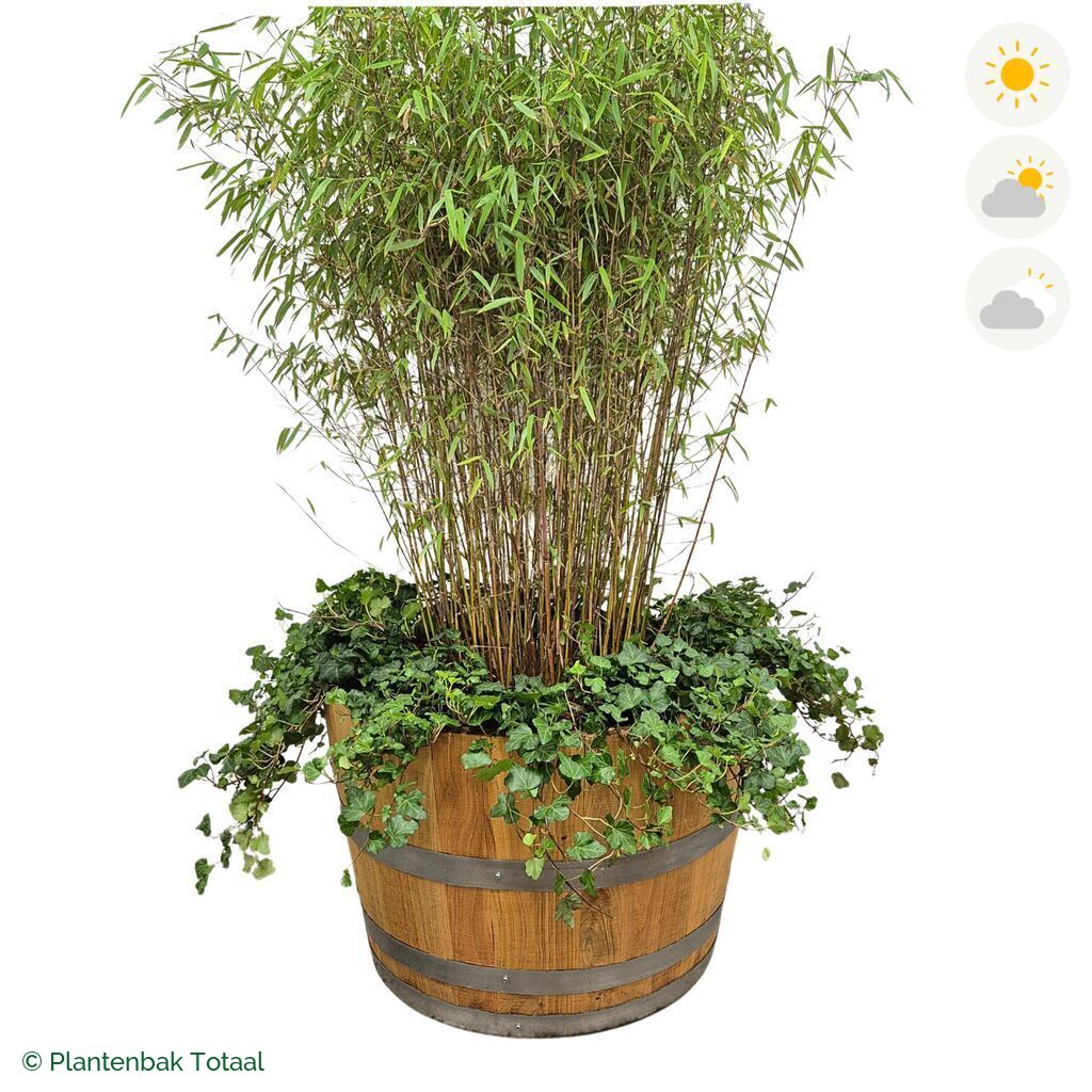 productfoto van plantenbak Eikenhout Half Wijnvat Bamboe Combinatie