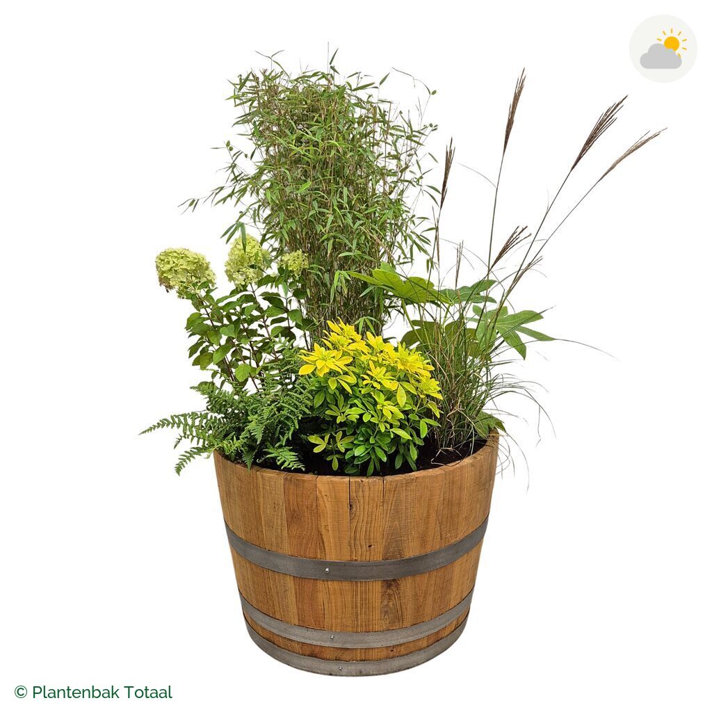 productfoto van plantenbak Eikenhout Half Wijnvat Set Bohemen