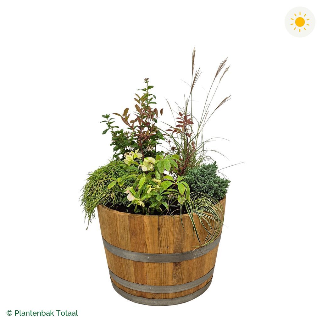 productfoto van plantenbak Eikenhout Half Wijnvat Set Bretagne