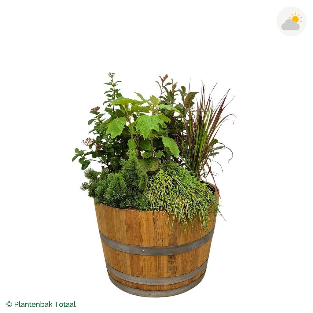 productfoto van plantenbak Eikenhout Half Wijnvat Set Eifel
