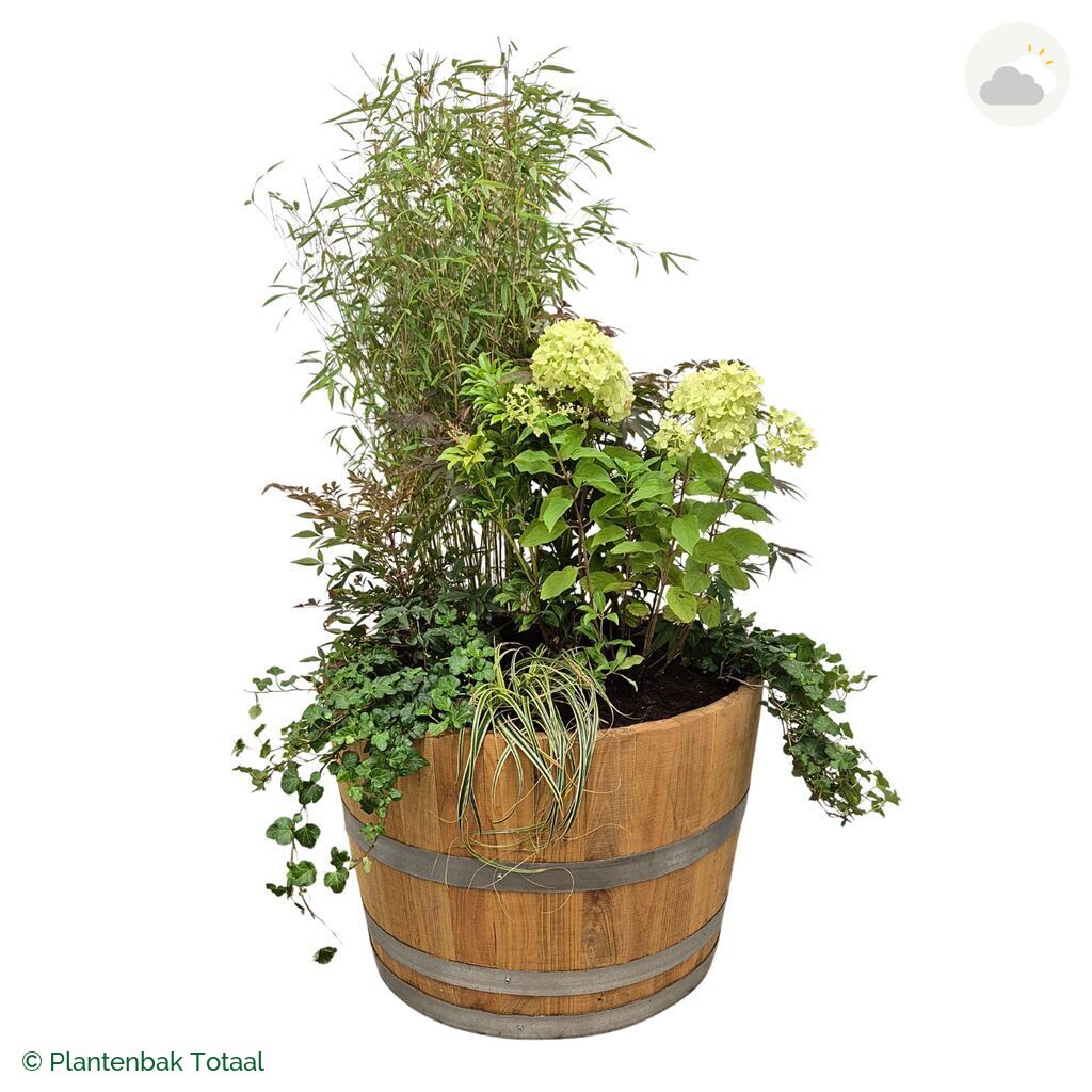 productfoto van plantenbak Eikenhout Half Wijnvat Set Himalaya