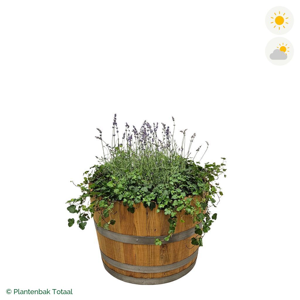 productfoto van plantenbak Eikenhout Half Wijnvat Lavendel Combinatie