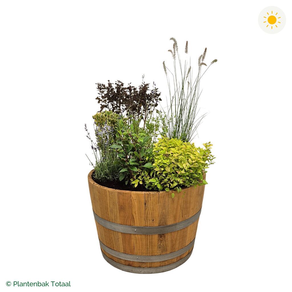 productfoto van plantenbak Eikenhout Half Wijnvat Set Provence