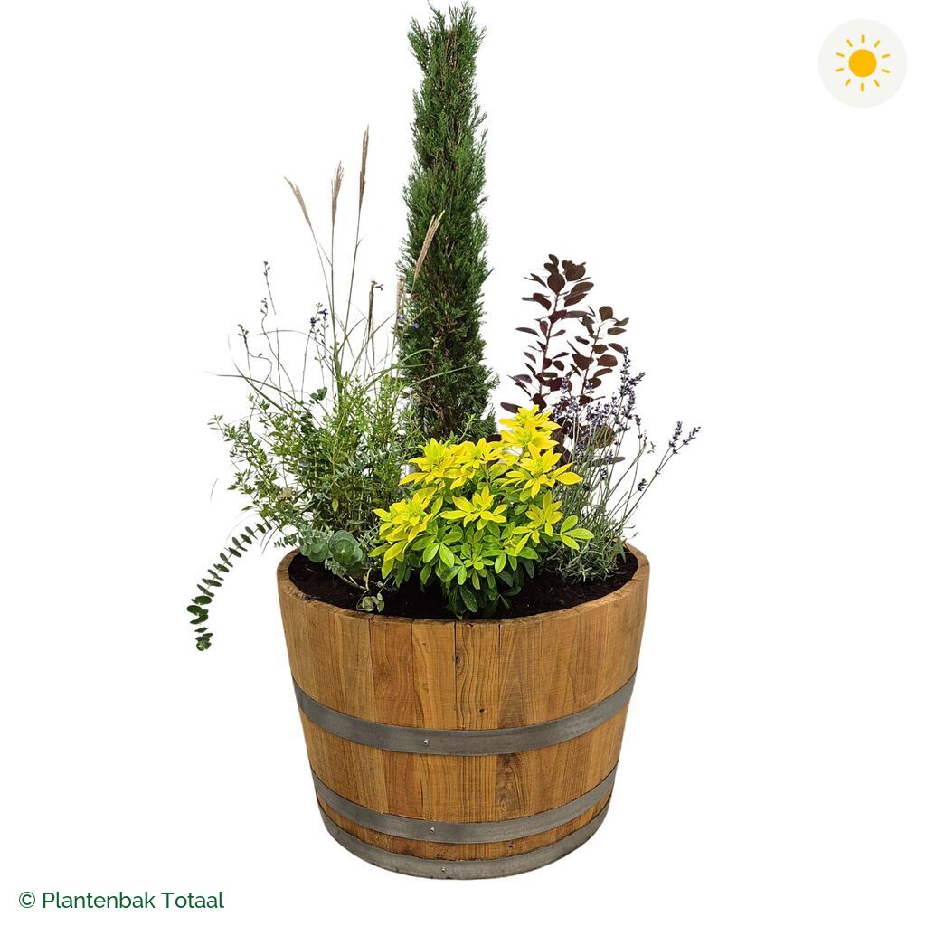 productfoto van plantenbak Eikenhout Half Wijnvat Set Toscane