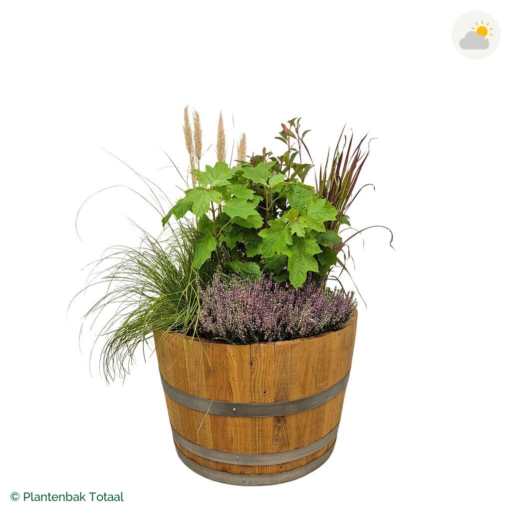 productfoto van plantenbak Eikenhout Half Wijnvat Set Veluwe