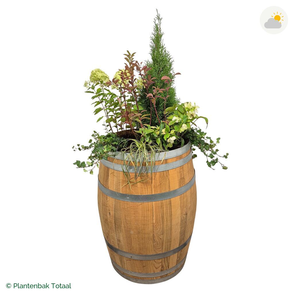 productfoto van plantenbak Eikenhout Wijnvat Set Ardennen