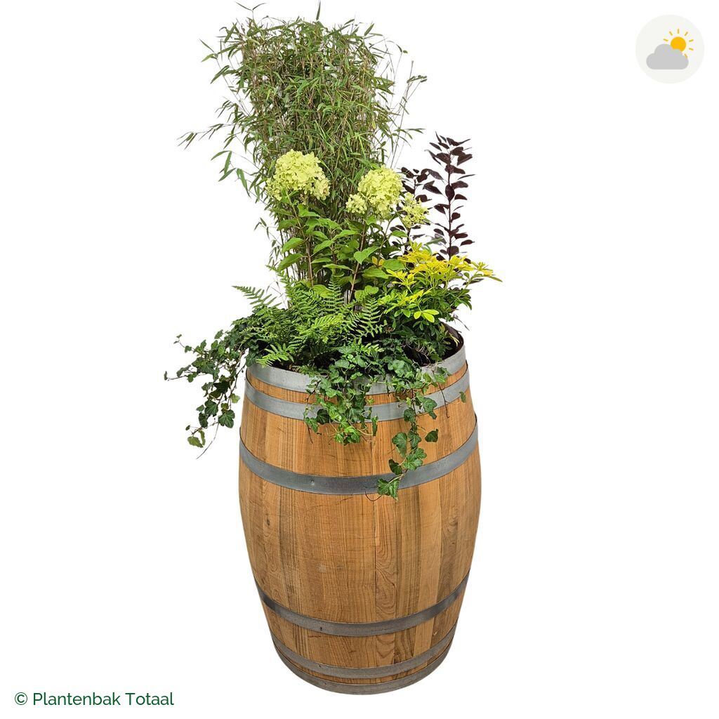 productfoto van plantenbak Eikenhout Wijnvat Set Bohemen