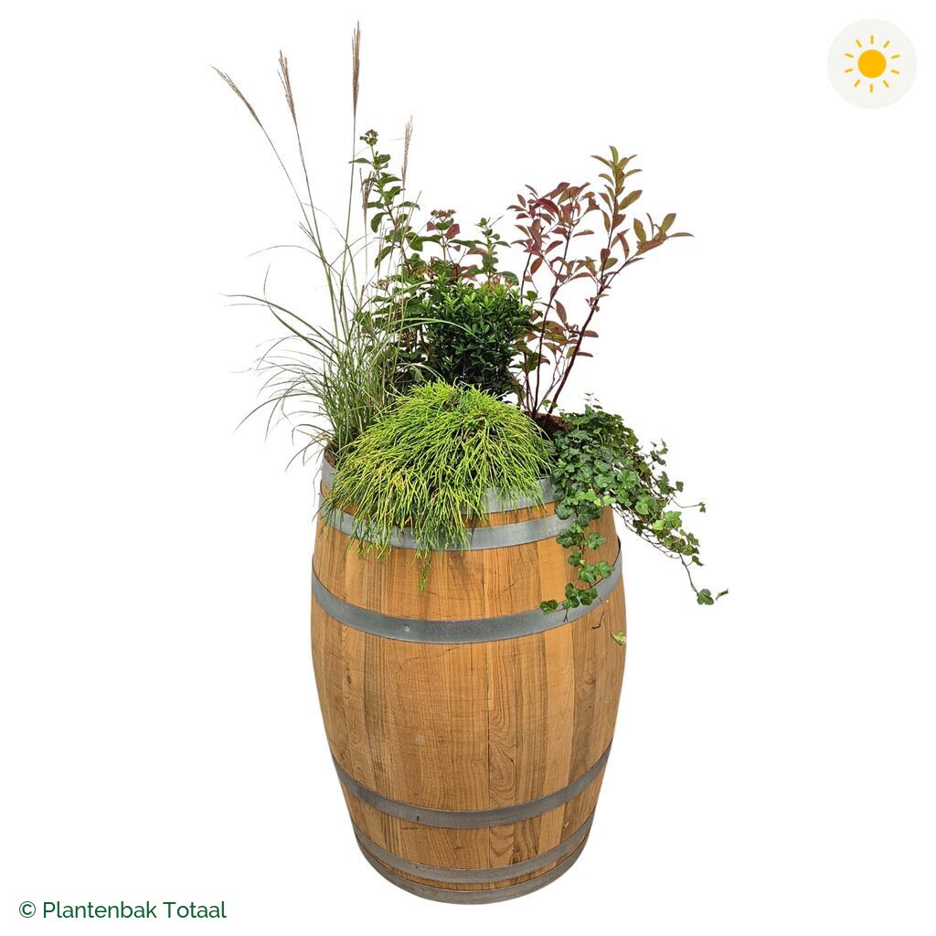 productfoto van plantenbak Eikenhout Wijnvat Set Bretagne