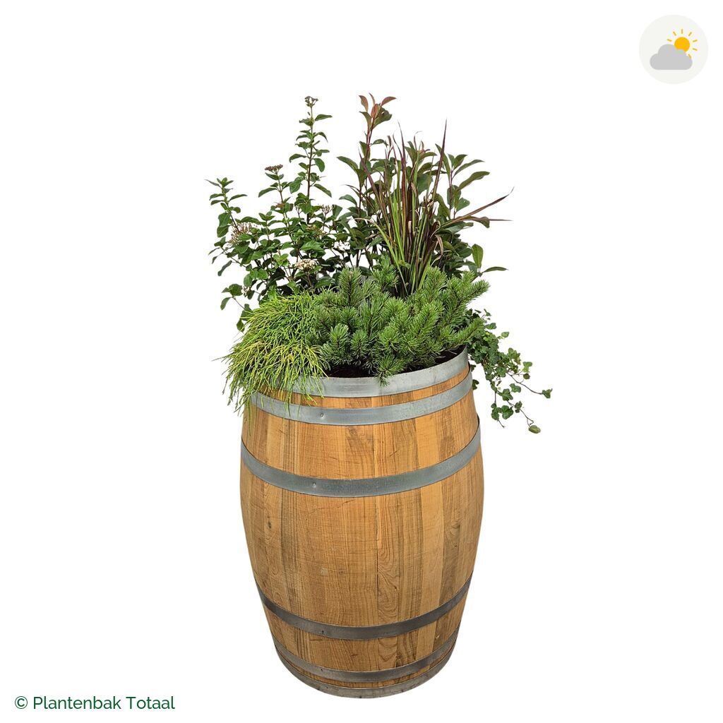 productfoto van plantenbak Eikenhout Wijnvat Set Eifel