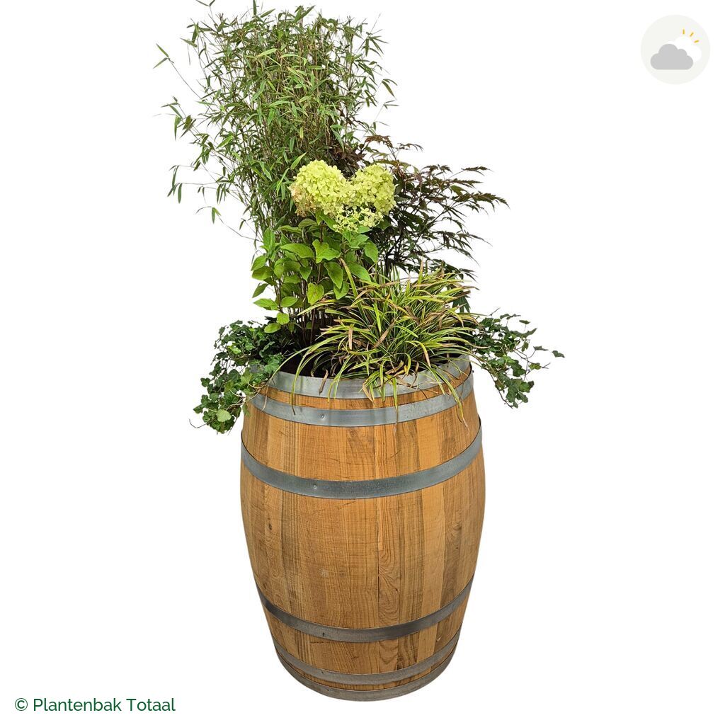productfoto van plantenbak Eikenhout Wijnvat Set Himalaya