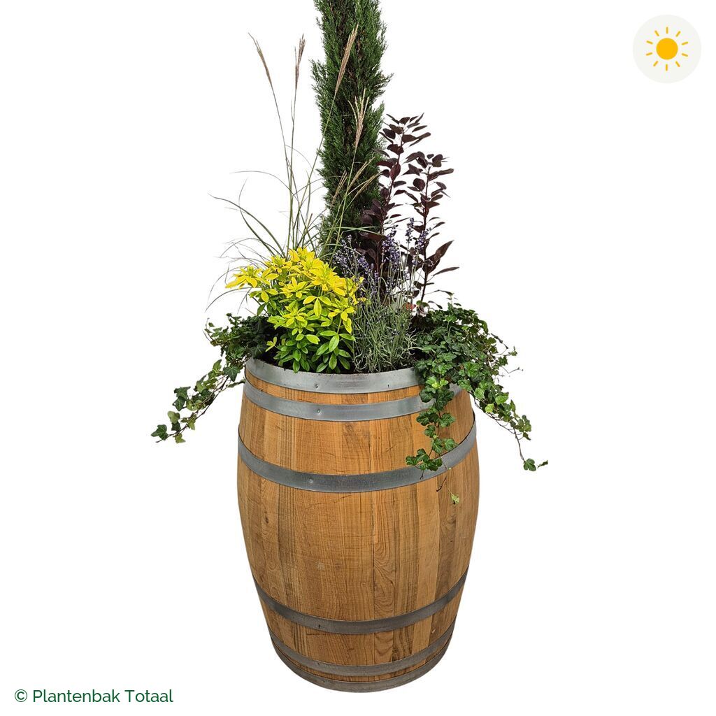 productfoto van plantenbak Eikenhout Wijnvat Set Toscane