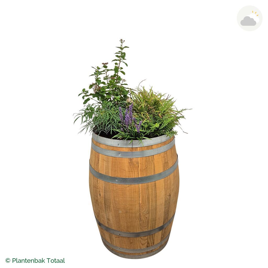 productfoto van plantenbak Eikenhout Wijnvat Set York