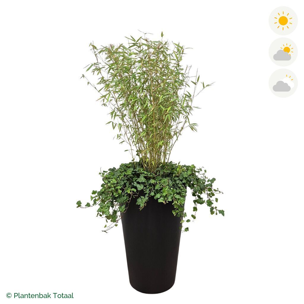 productfoto van plantenbak Fiberstone Belle Bamboe Combinatie