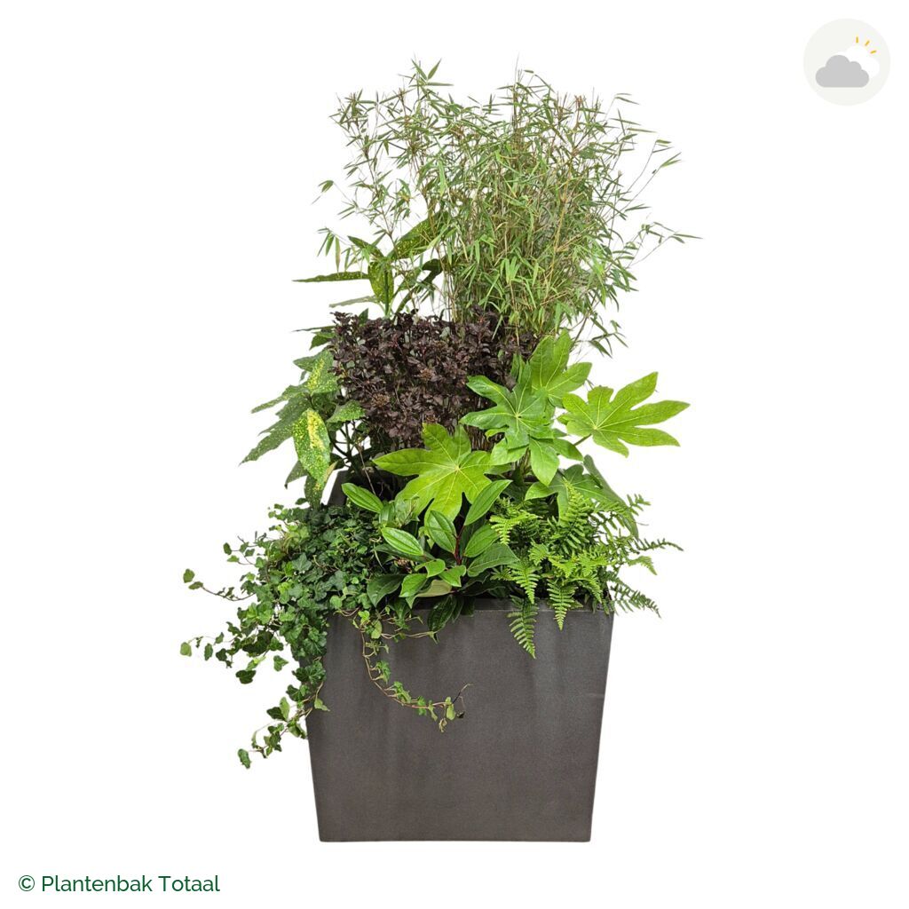 productfoto van plantenbak Fiberstone Block Vierkant Set Amazone