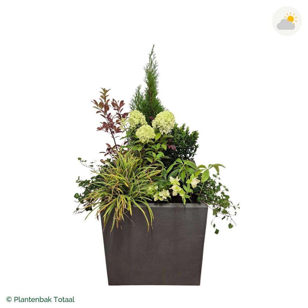 productfoto van plantenbak Fiberstone Block Vierkant Set Ardennen