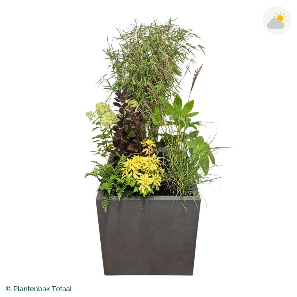productfoto van plantenbak Fiberstone Block Vierkant Set Bohemen
