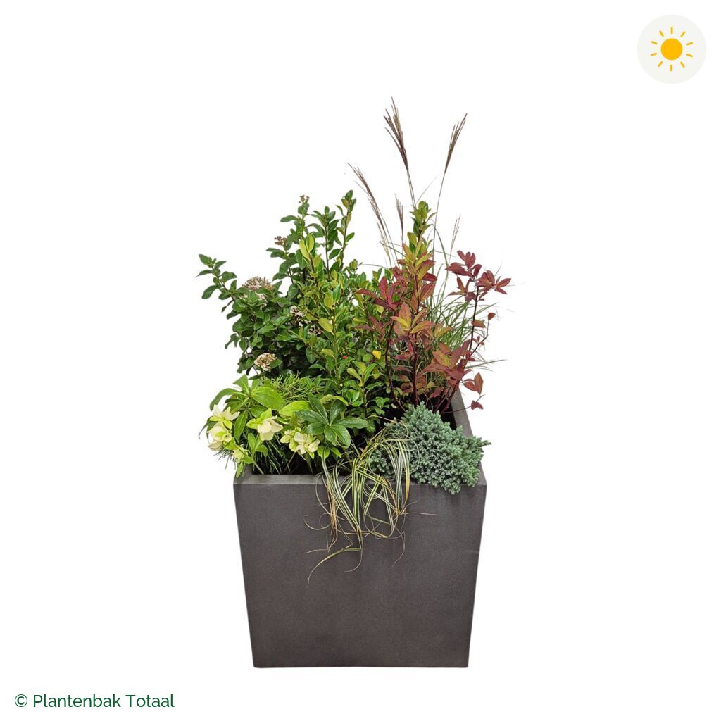 productfoto van plantenbak Fiberstone Block Vierkant Set Bretagne