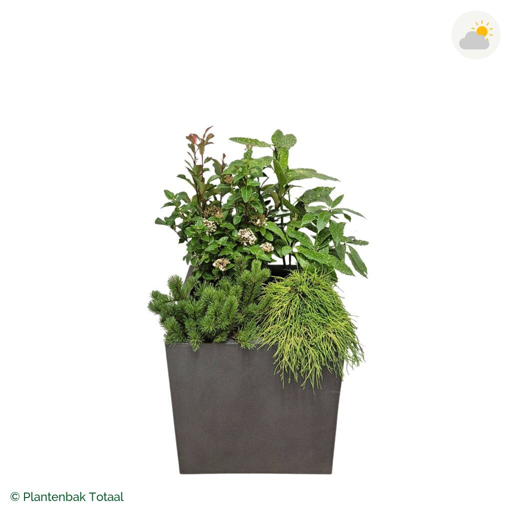 productfoto van plantenbak Fiberstone Block Vierkant Set Eifel