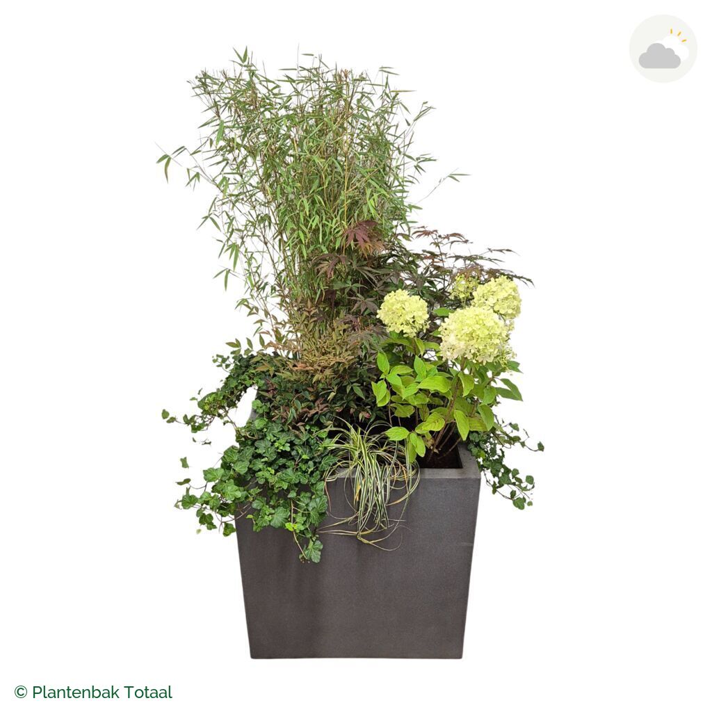 productfoto van plantenbak Fiberstone Block Vierkant Set Himalaya