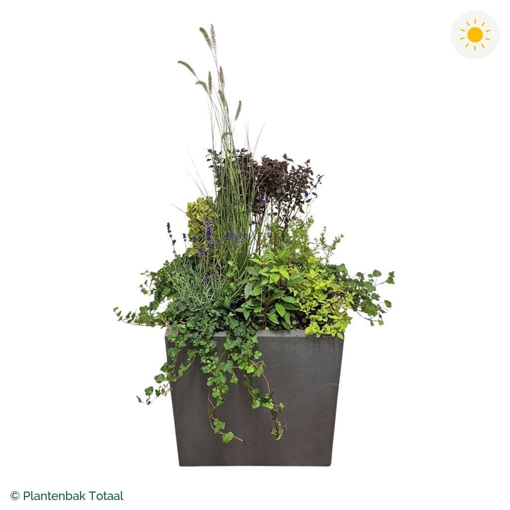 productfoto van plantenbak Fiberstone Block Vierkant Set Provence