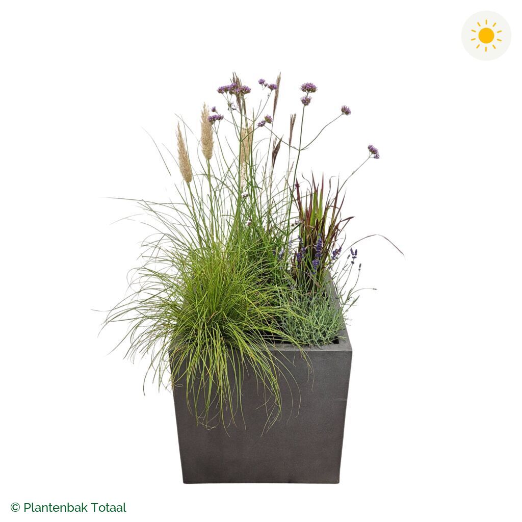 productfoto van plantenbak Fiberstone Block Vierkant Set Savanne