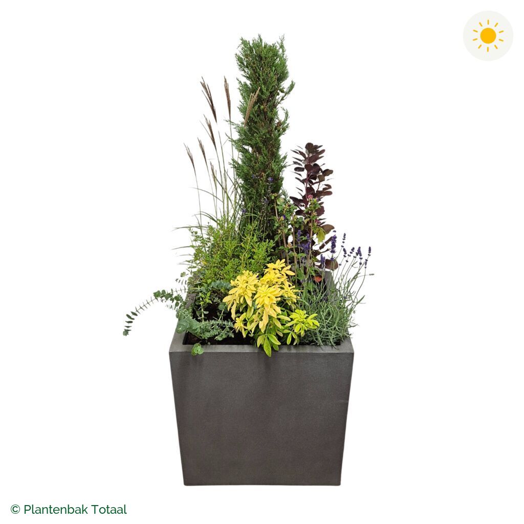 productfoto van plantenbak Fiberstone Block Vierkant Set Toscane