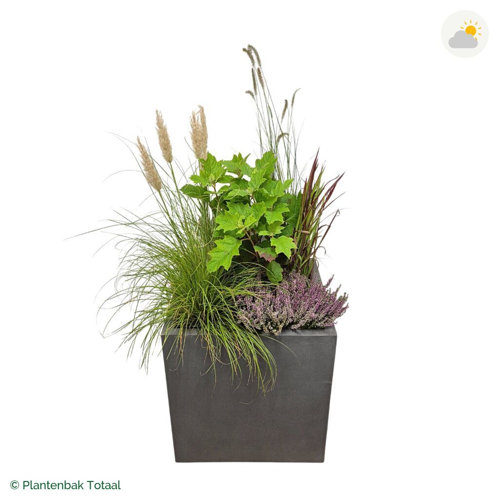 productfoto van plantenbak Fiberstone Block Vierkant Set Veluwe
