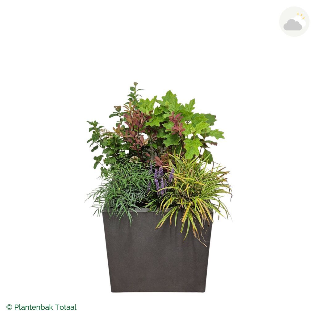 productfoto van plantenbak Fiberstone Block Vierkant Set York