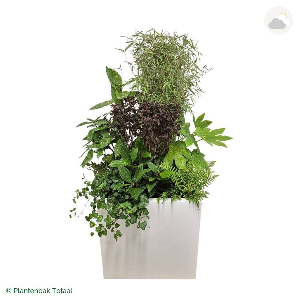 productfoto van plantenbak Fiberstone Block Hoogglans Wit Set Amazone