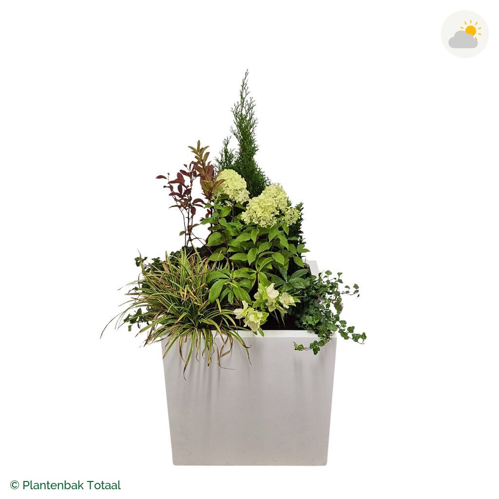 productfoto van plantenbak Fiberstone Block Hoogglans Wit Set Ardennen