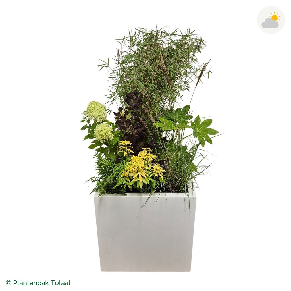 productfoto van plantenbak Fiberstone Block Hoogglans Wit Set Bohemen