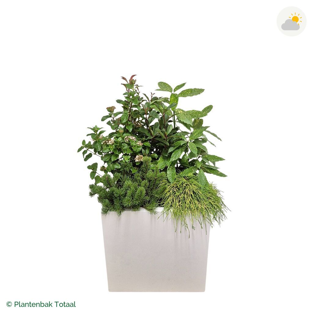 productfoto van plantenbak Fiberstone Block Hoogglans Wit Set Eifel