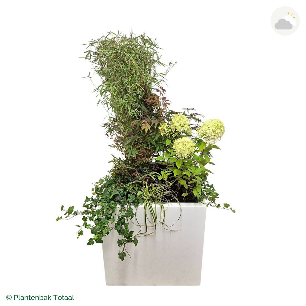 productfoto van plantenbak Fiberstone Block Hoogglans Wit Set Himalaya