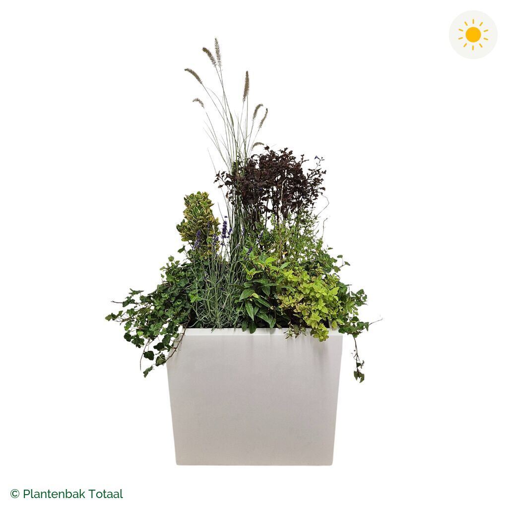 productfoto van plantenbak Fiberstone Block Hoogglans Wit Set Provence