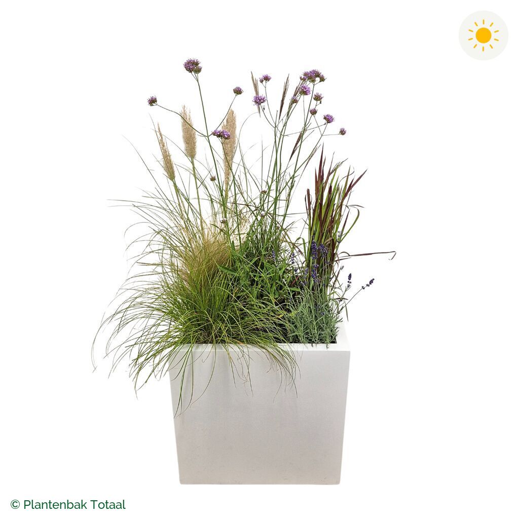 productfoto van plantenbak Fiberstone Block Hoogglans Wit Set Savanne