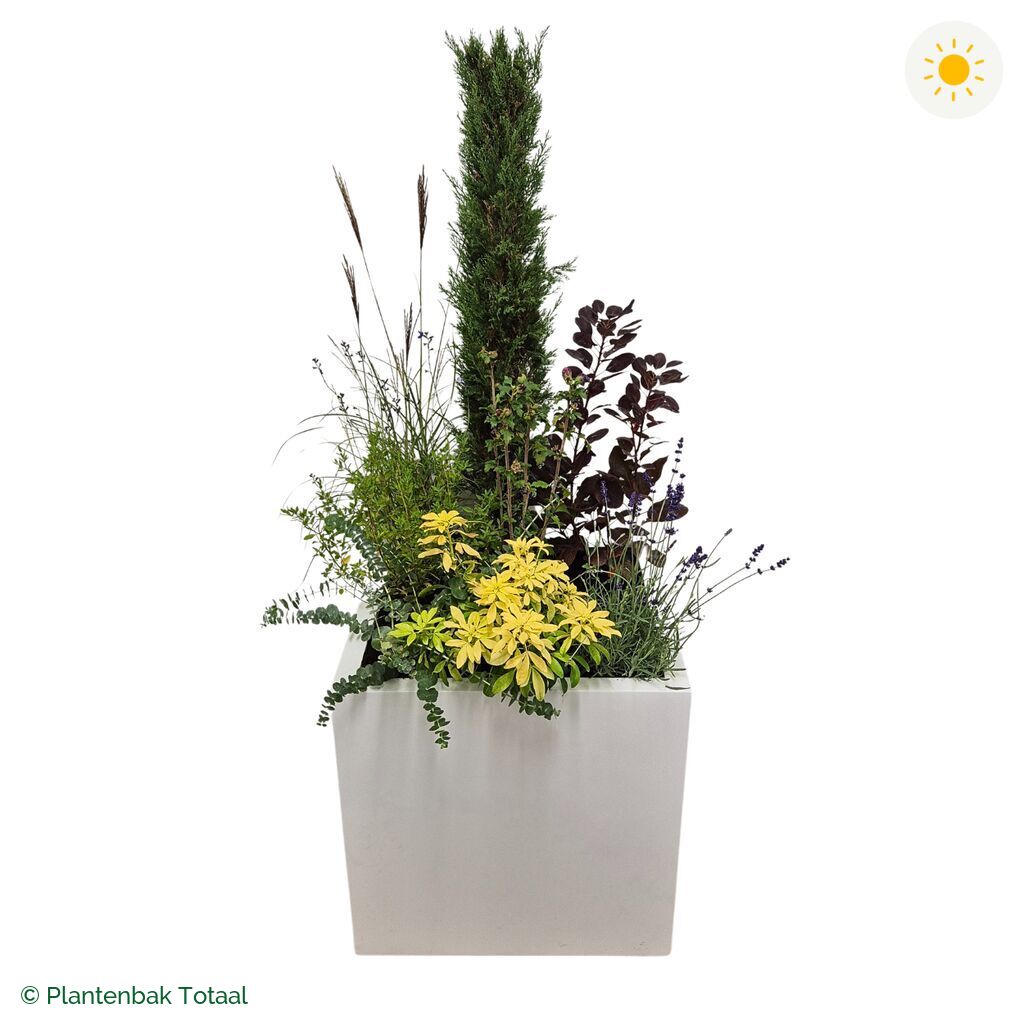 productfoto van plantenbak Fiberstone Block Hoogglans Wit Set Toscane